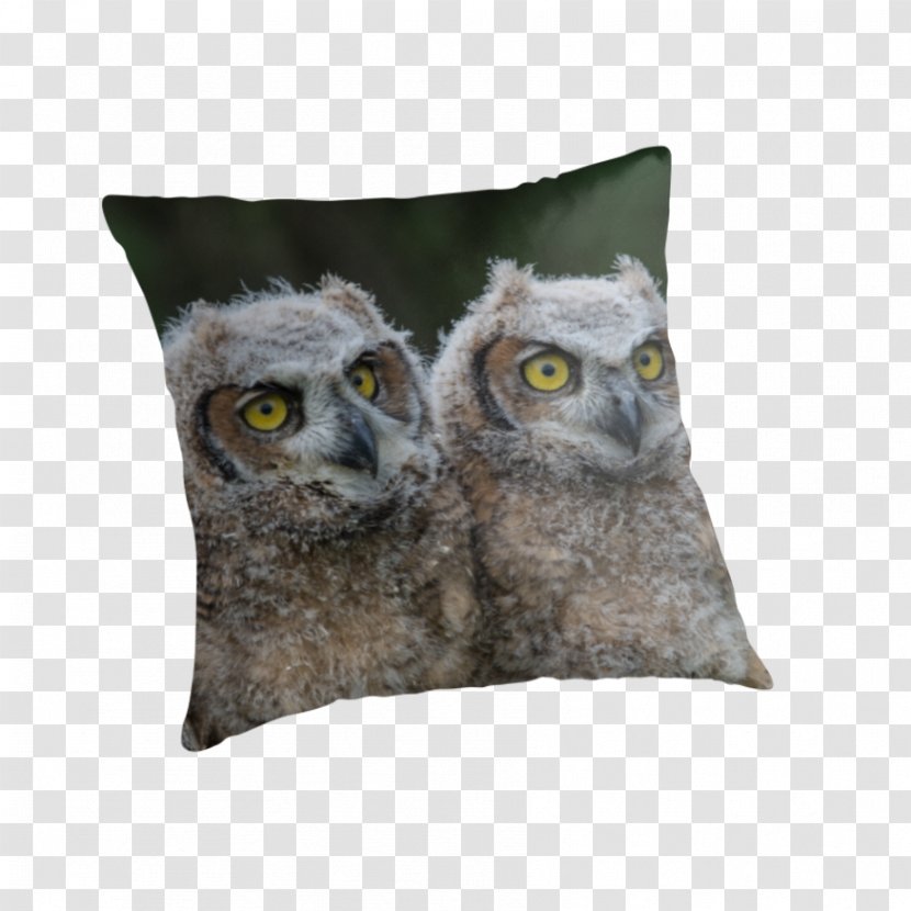 Owl Throw Pillows Cushion Snout Beak - Great Horned Transparent PNG