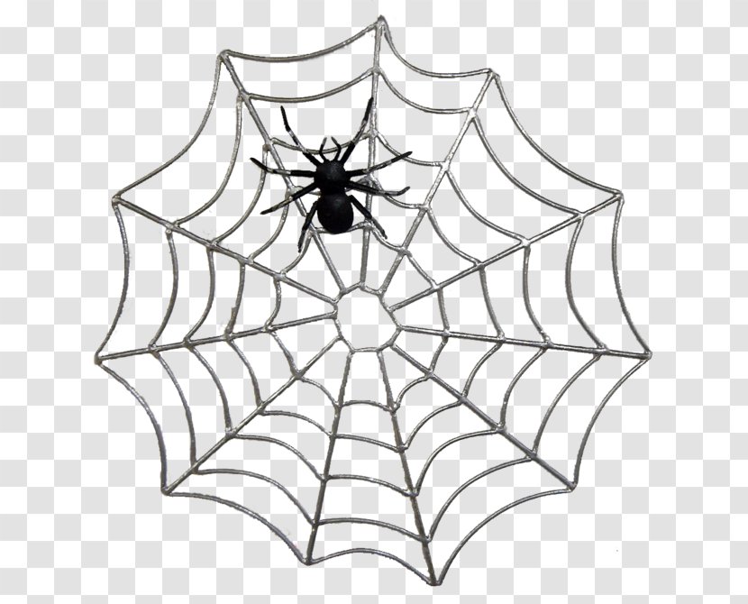 Spider Web Royalty-free - Plant Transparent PNG