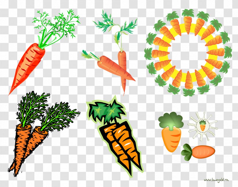 Portugal Farmington Presbyterian Church Wedding Creativity Hotel - Organism - Carrot Transparent PNG