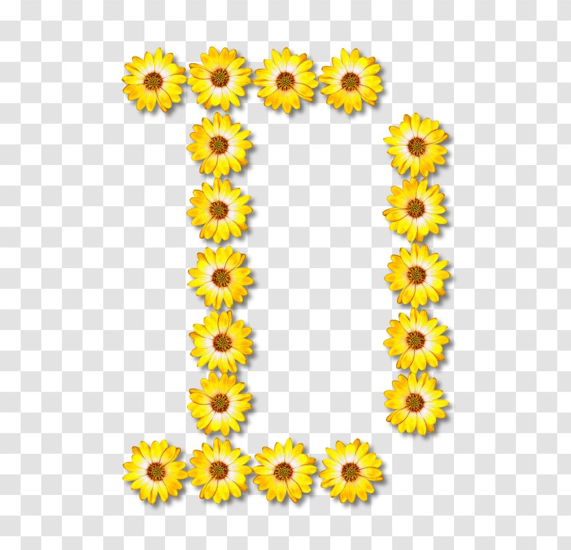 Typeface Alphabet Typography Floral Design Font - Yellow - Flower Transparent PNG