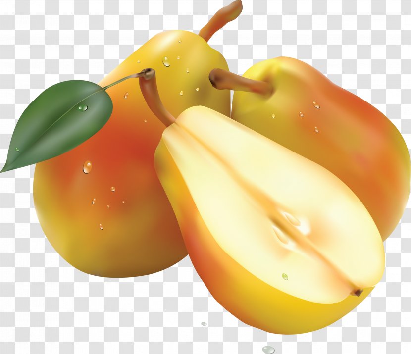 Pear Fruit Salad Computer File - Produce - Image Transparent PNG