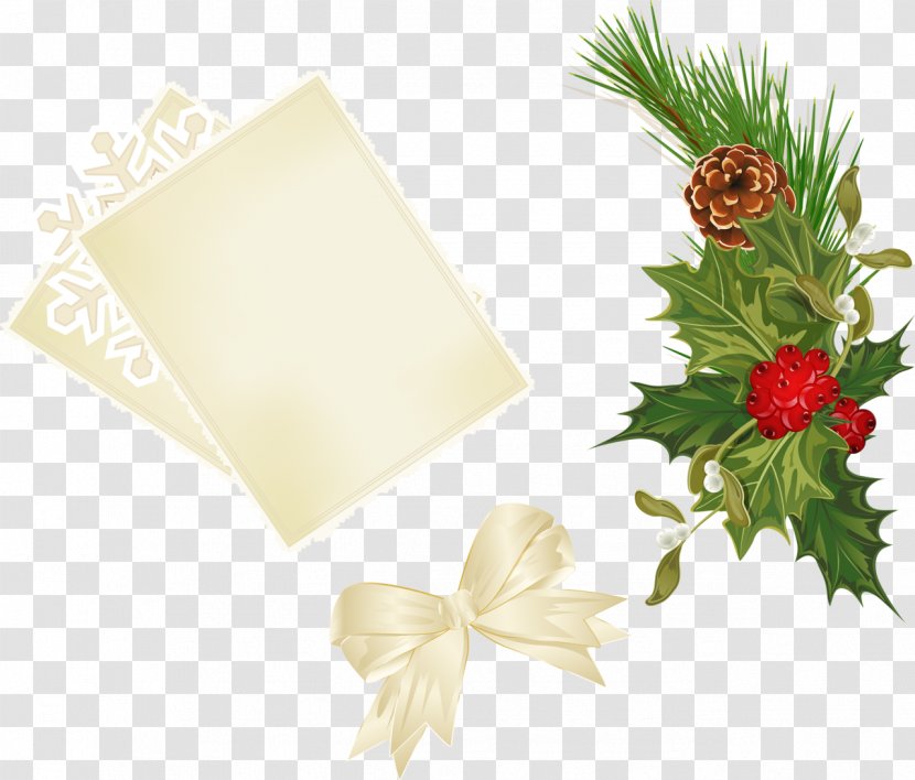 Christmas - Photography - Flower Transparent PNG