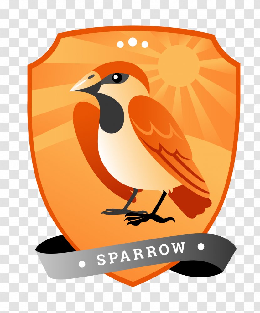 Crowst Oy Beak Head Louse Clip Art - Opinion - Sparrow Illustration Transparent PNG
