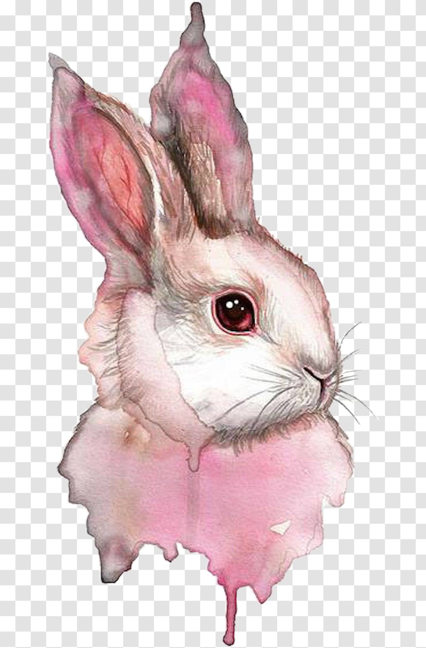 Watercolor Painting Rabbit Watercolor: Animals Drawing Transparent PNG