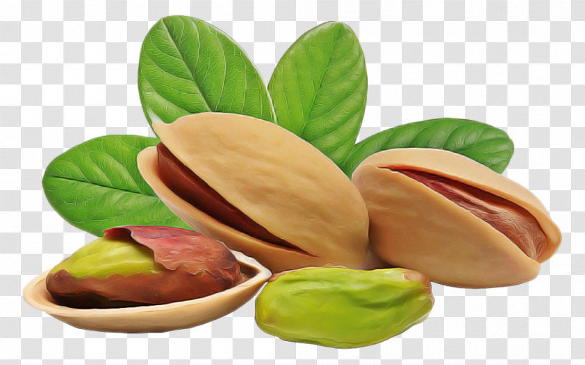 Pistachio Nut Food Ingredient Plant Transparent PNG