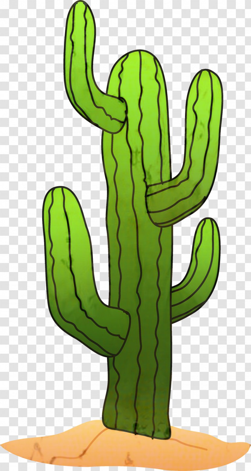 Cactus Clip Art Saguaro Image - Plants Transparent PNG