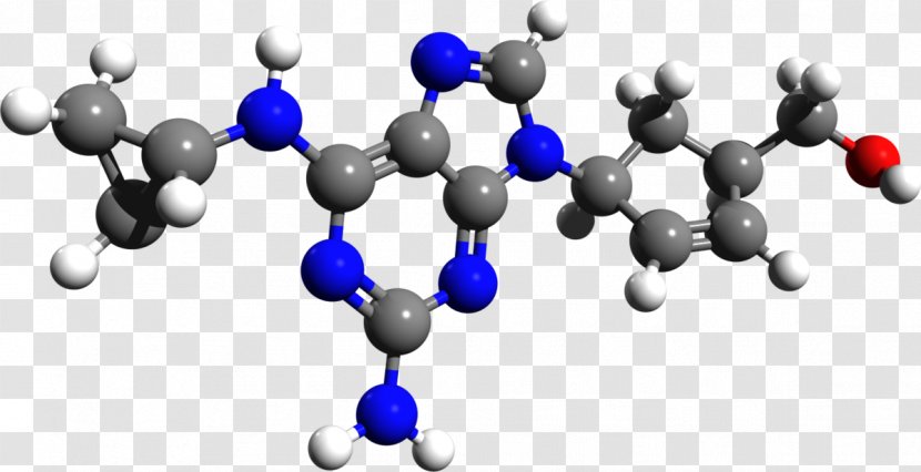 Abacavir Human Leukocyte Antigen Reverse-transcriptase Inhibitor Lamivudine Chemistry - Frame - Tree Transparent PNG