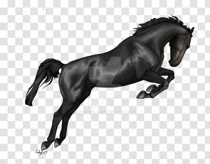 Mustang Art Clip - Mane - Dark Horse Transparent PNG