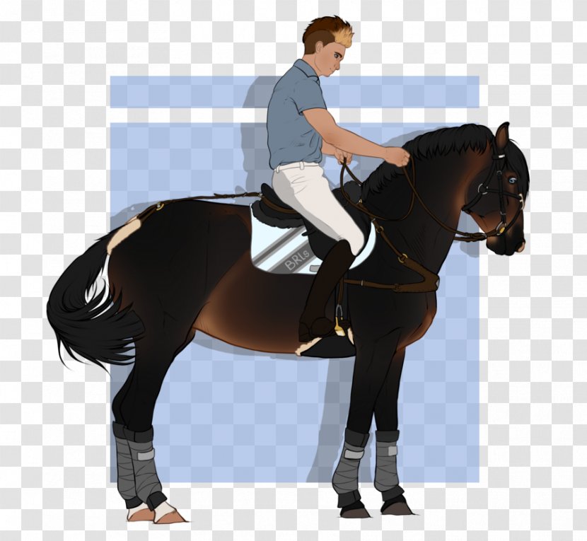 Stallion Hunt Seat Horse Rein Equestrian - Western Riding Transparent PNG