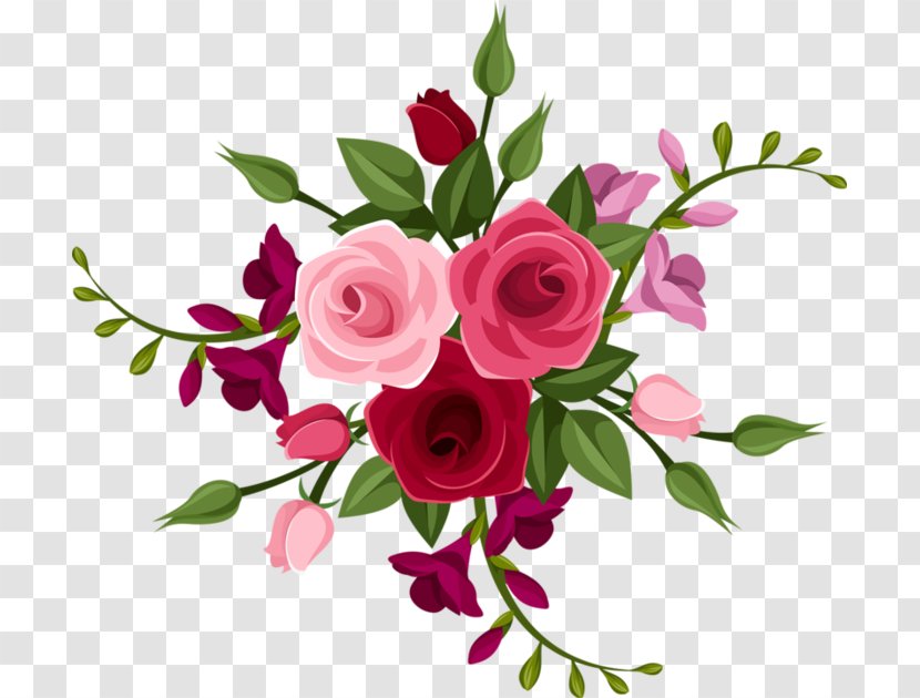 Garden Roses Floral Design Centifolia - Flower Transparent PNG