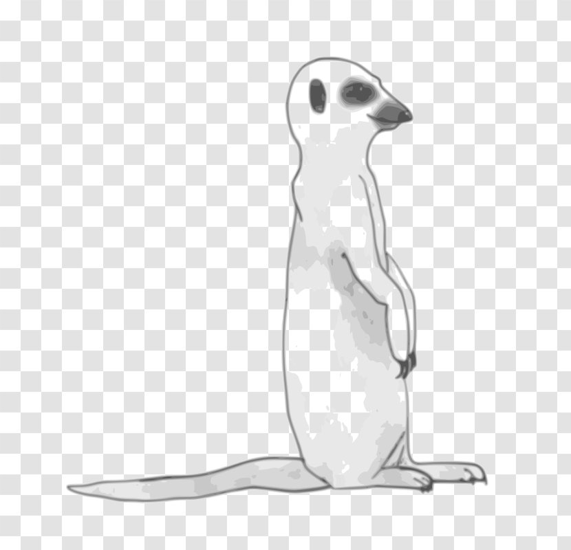 Meerkat Drawing Clip Art - Carnivoran - Cliparts Transparent PNG