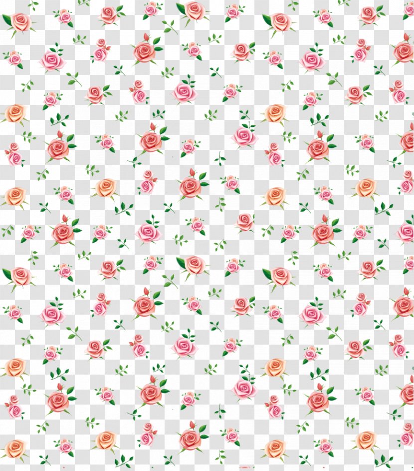 Still Life: Pink Roses Beach Rose Pattern - Gratis Transparent PNG