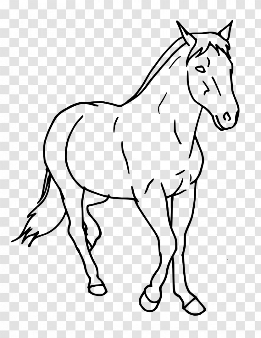 Tennessee Walking Horse Howrse Drawing Equestrian Clip Art - Tack - Draw Transparent PNG