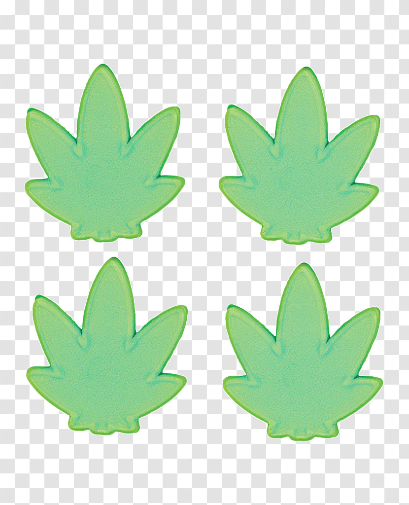 Green Leaf Plant Transparent PNG