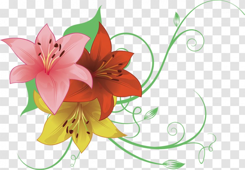Flower Lilium - Drawing Transparent PNG
