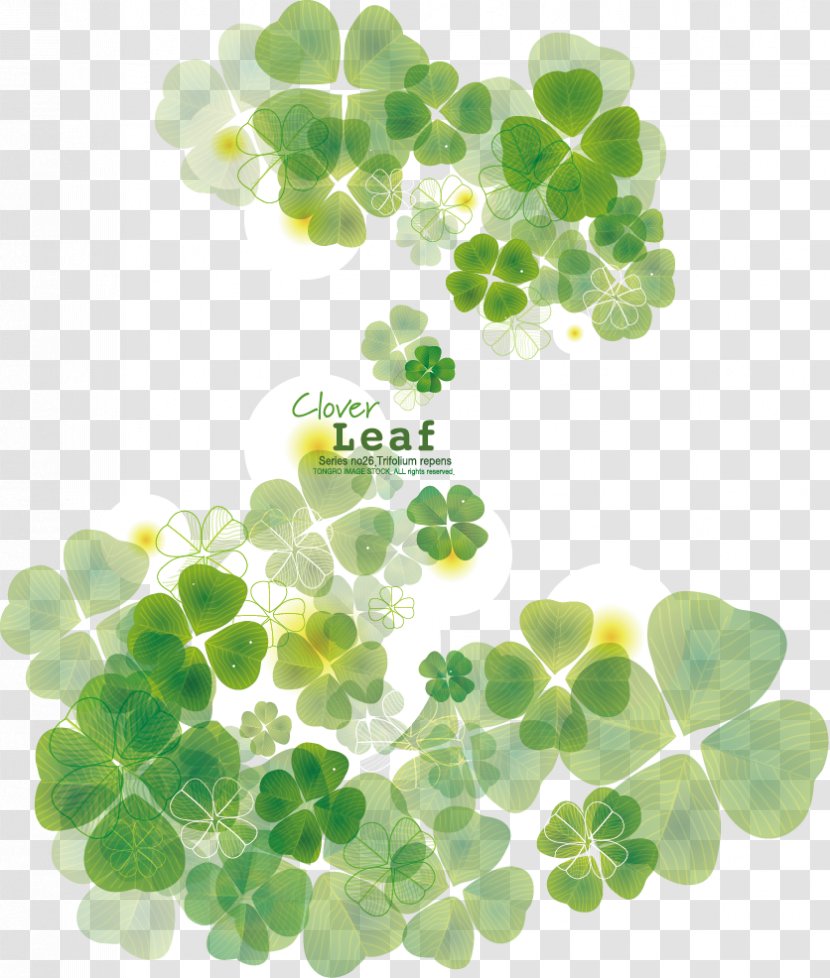 Four-leaf Clover - Poster - Vector Transparent PNG