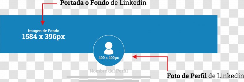 LinkedIn Social Network Media Marketing Photography - Brand - Linkedin Transparent PNG