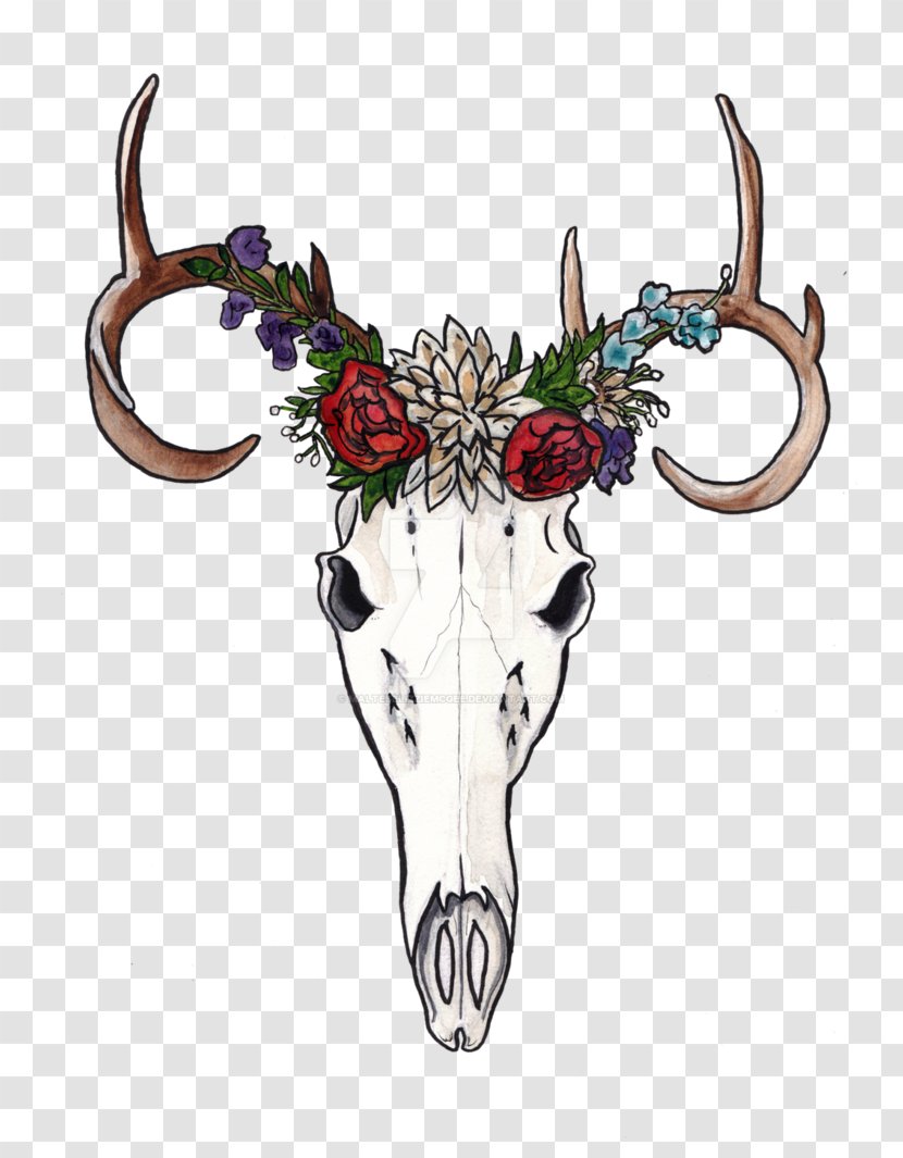 Reindeer Horn Art Skull - Deer Transparent PNG
