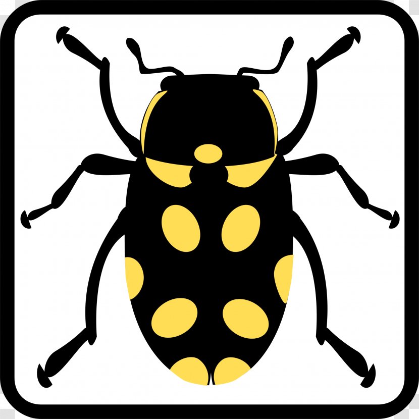 Beetle Butterfly Clip Art - Invertebrate - Bug Transparent PNG