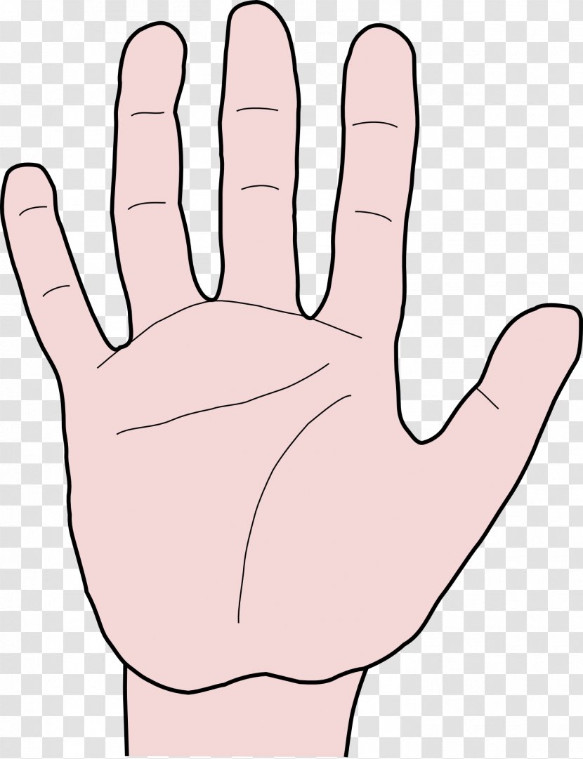 Middle Finger Thumb Hand Arm - Watercolor Transparent PNG