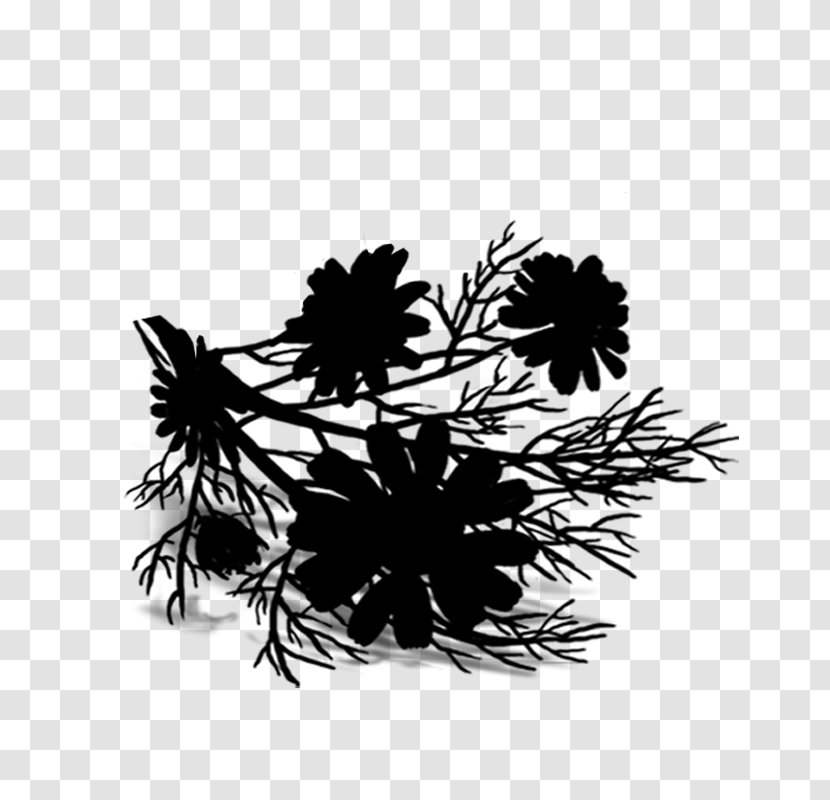 Leaf Flower Desktop Wallpaper Computer Font - Botany - Branch Transparent PNG
