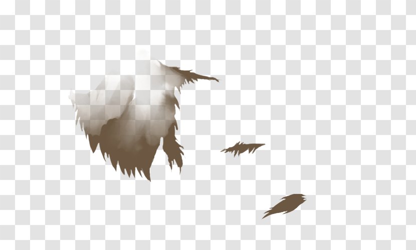 Water Bird Crane Eagle Beak - Wildlife Transparent PNG