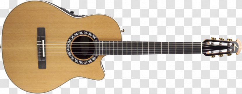 Maton Steel-string Acoustic Guitar Classical - Flower - Gig Transparent PNG