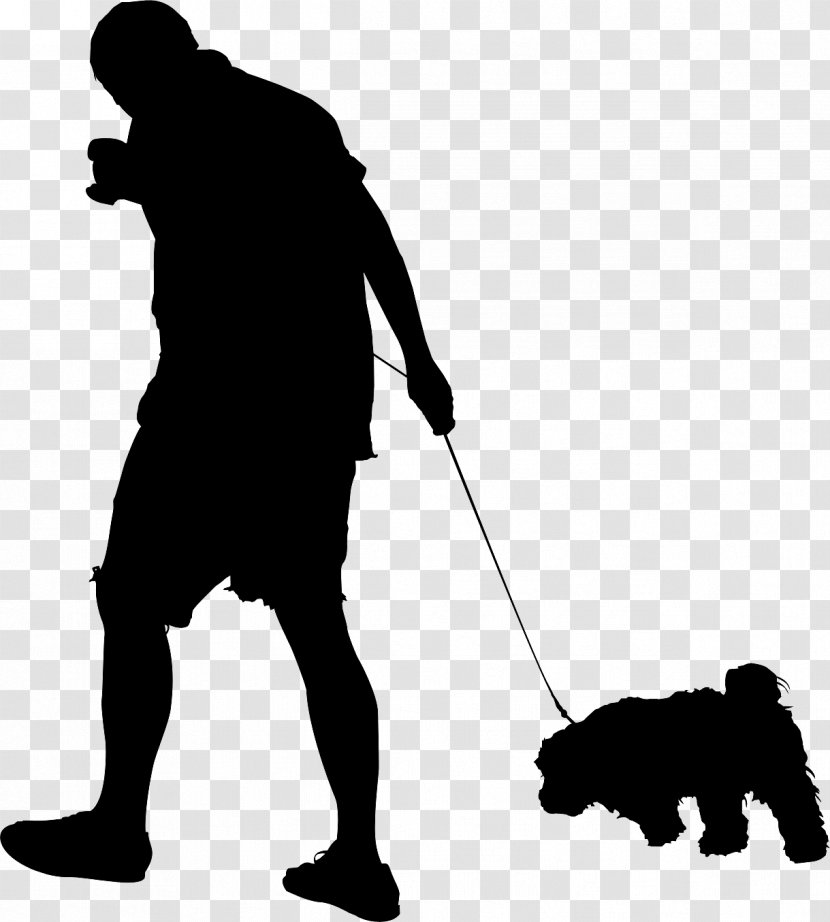 Dog Human Behavior Male Leash - Canidae - Sporting Group Transparent PNG