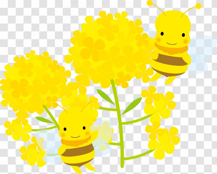 Blossoms And Two Bees Illustration. - Organism - Bee Transparent PNG