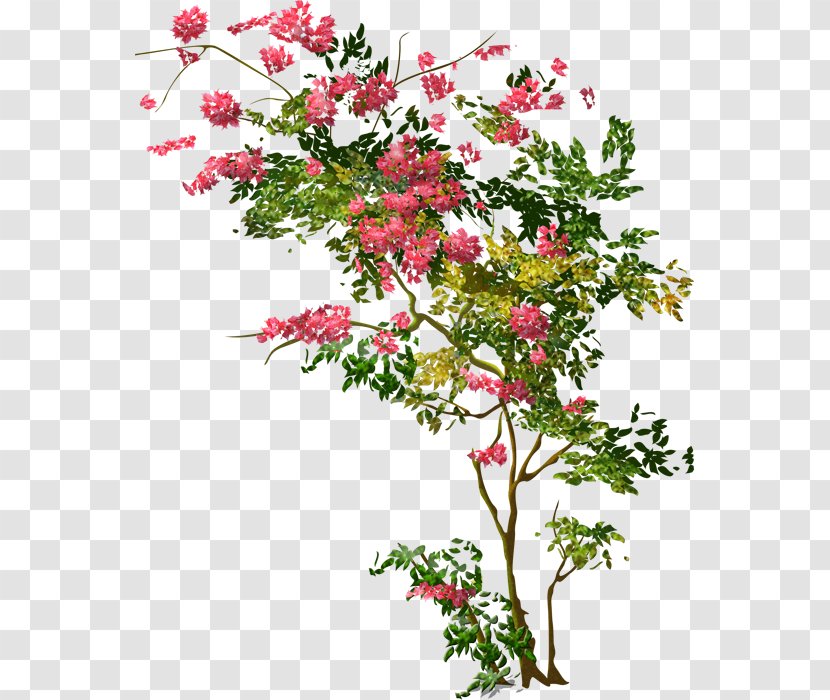 Tree Shrub Floral Design Clip Art Transparent PNG