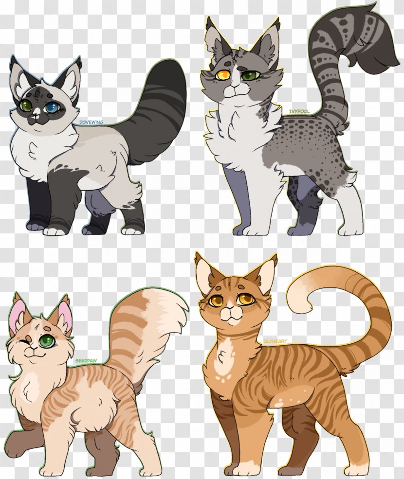 Kitten Whiskers Siamese Cat Tabby Warriors - Mammal Transparent PNG
