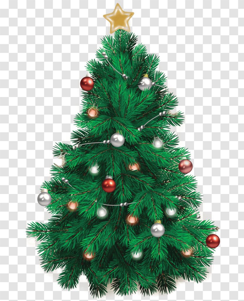 Christmas Decoration Party MODESTROVE Tree - Conifer Transparent PNG