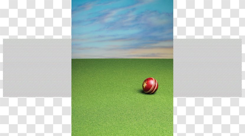 Sky Plc - Green - Playing Cricket Transparent PNG