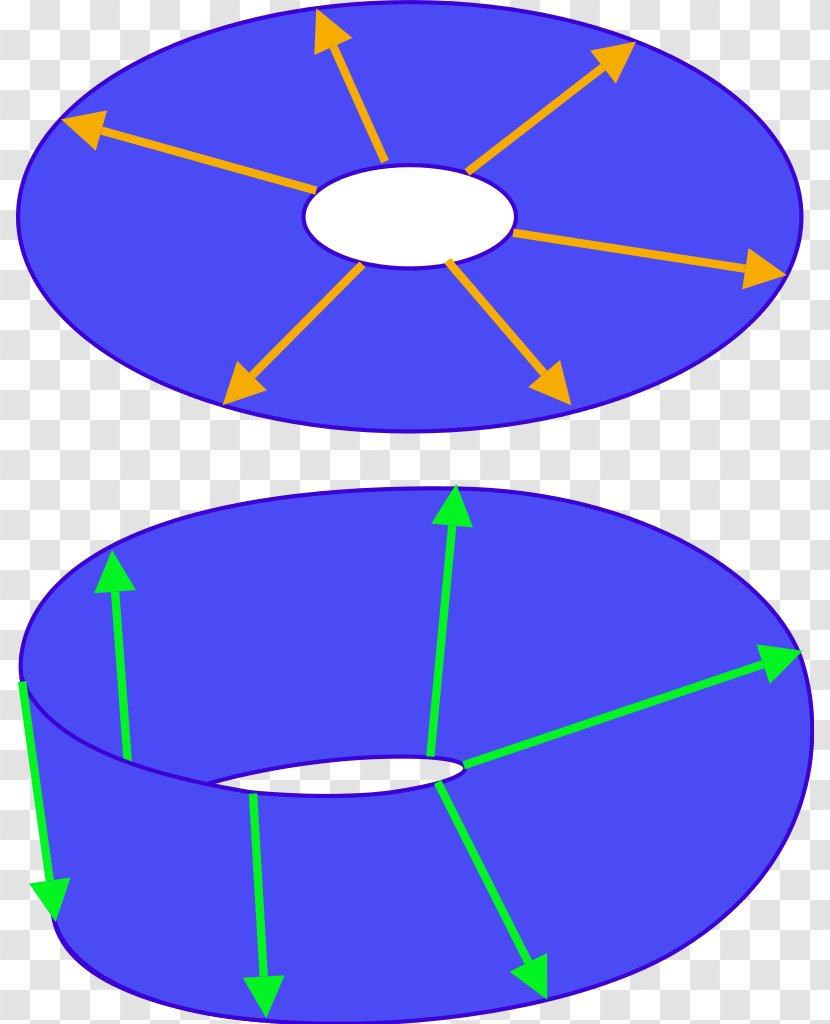 Spinor Plate Trick Information Wikimedia Foundation Wikipedia - Purple - Oval Transparent PNG
