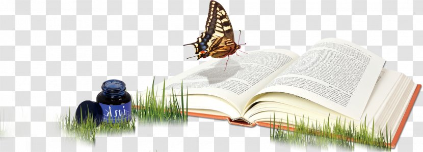 Download Computer File - Gratis - Book On The Grass Transparent PNG