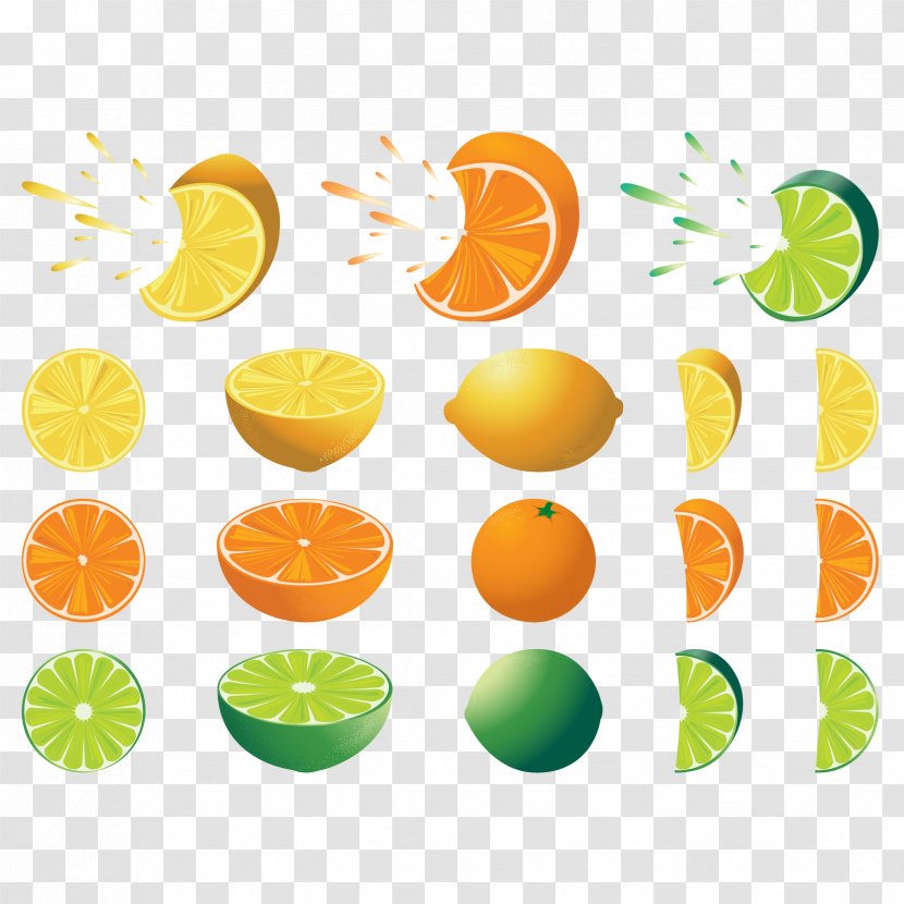 Juice Lemon Grapefruit - Citric Acid - Vector Orange Cut Surface Transparent PNG