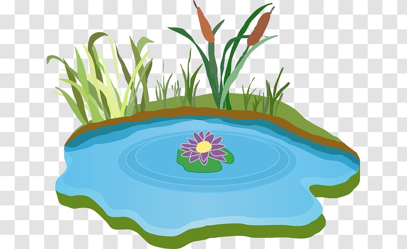 Clip Art - Web Design - Water Pond Transparent PNG