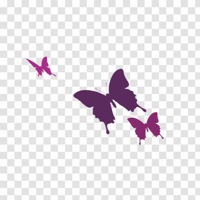 Color - Invertebrate - Butterfly Transparent PNG