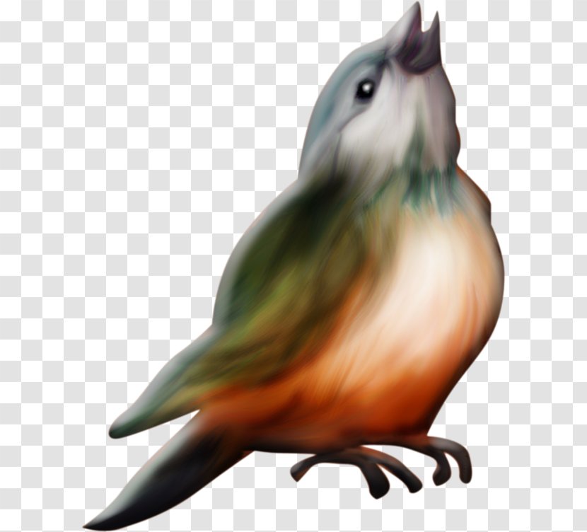 Bird Lark Beak - Organism - Painted Perspective Transparent PNG