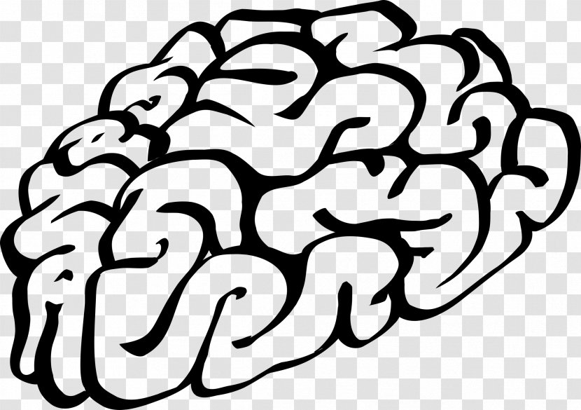 Brain Drawing Clip Art - Frame - Hand Drawn Transparent PNG