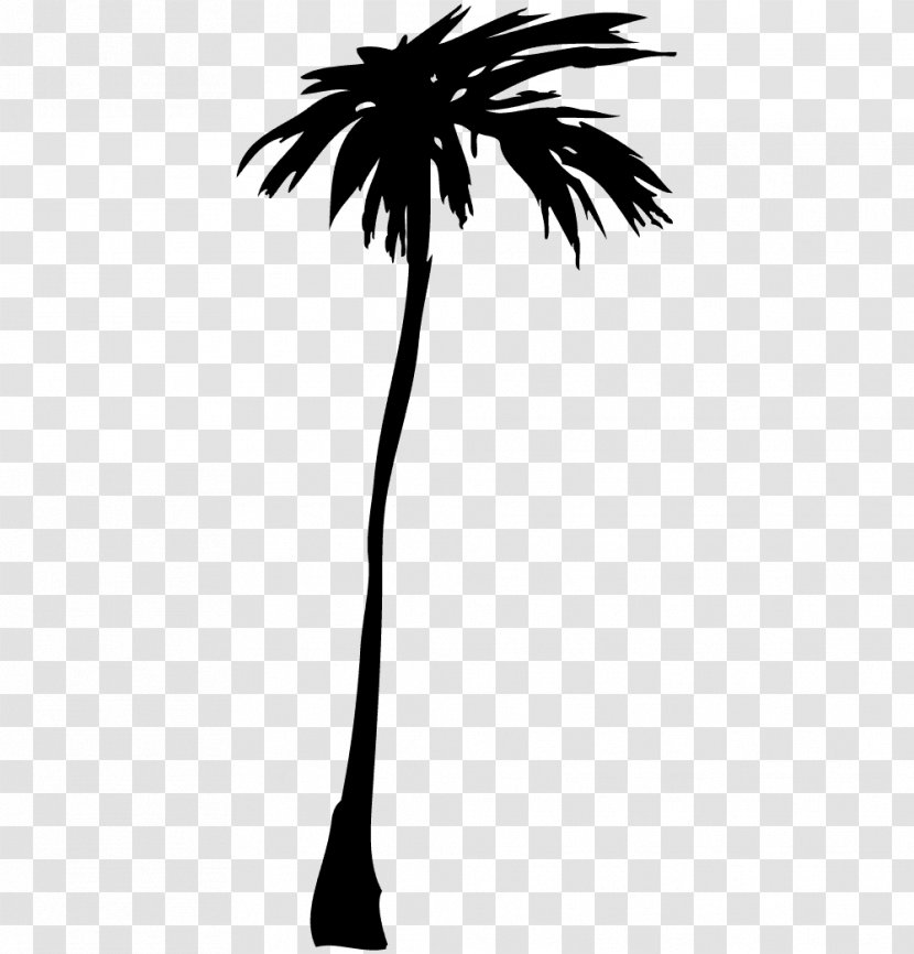 Asian Palmyra Palm Illustrator - Borassus Flabellifer Transparent PNG