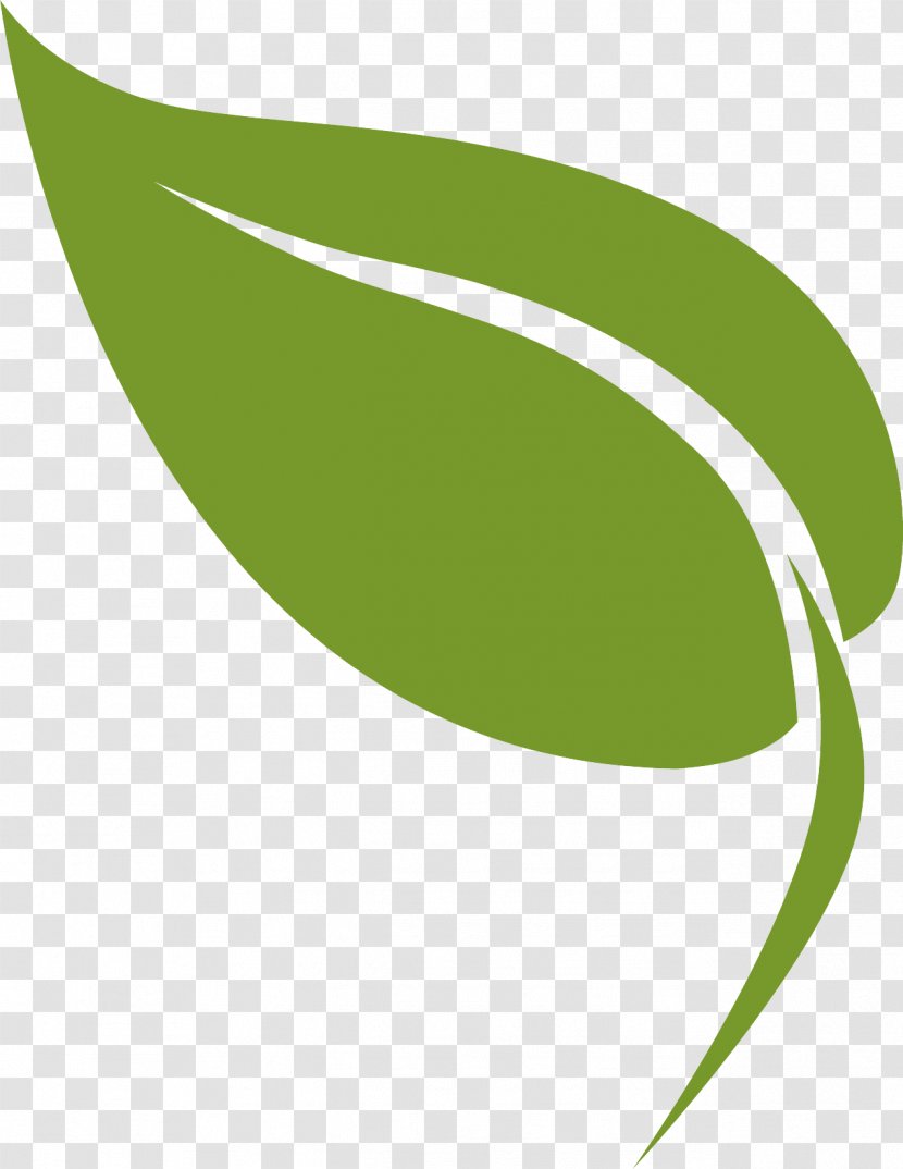 Green Leaf Logo Plant Line Transparent PNG
