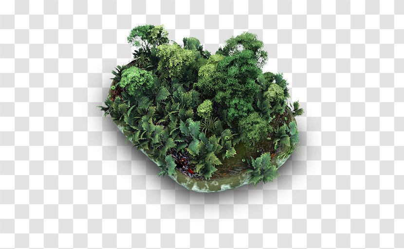 Plant Kale Herb Flowerpot Shrub - Grassy Stone Transparent PNG