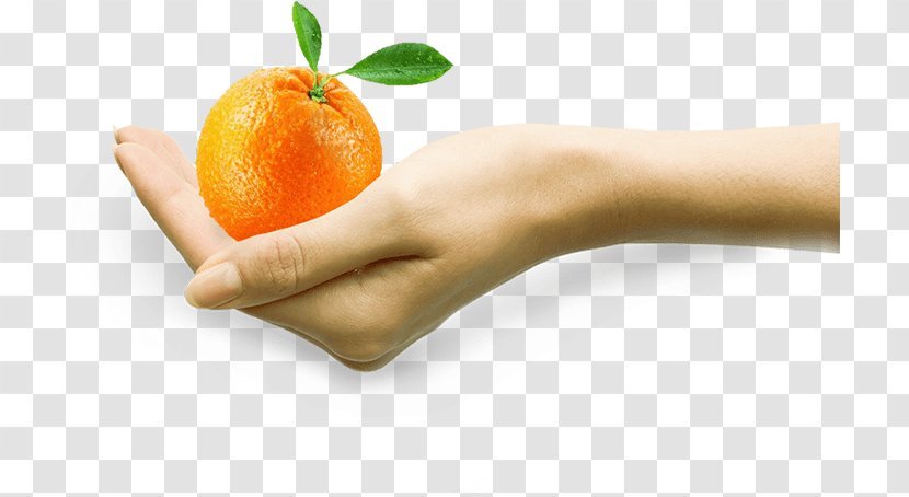 Smoothie Juice Tangelo Food Tangerine - Diet Transparent PNG