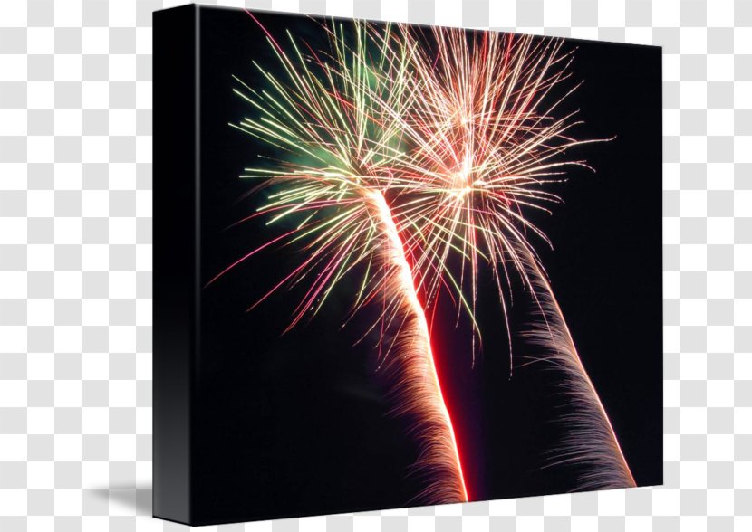 Fireworks Explosive Material Desktop Wallpaper Stock Photography - New Year - Green Palm Leaves Transparent PNG