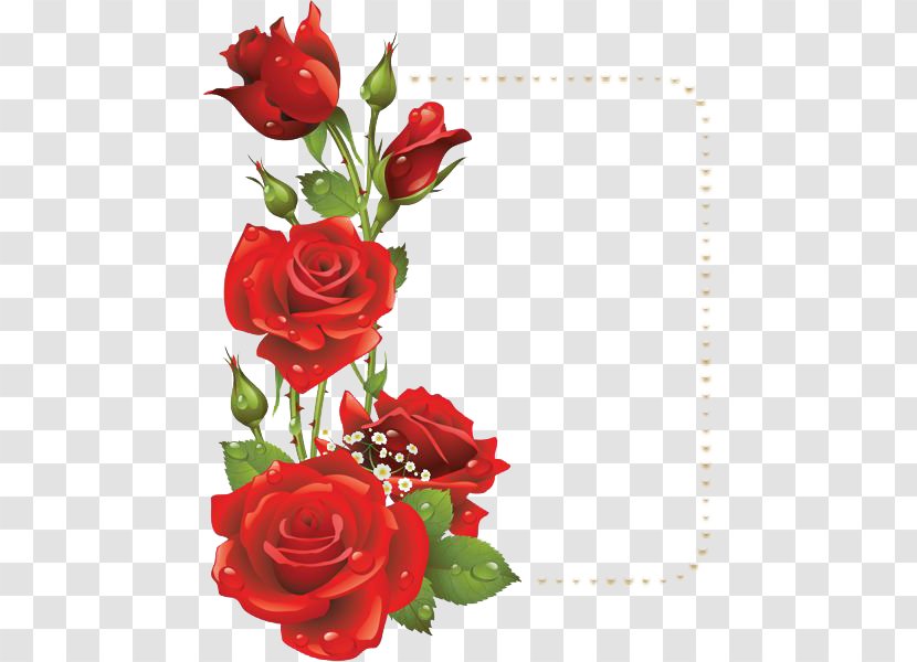 Flower Rose Red Picture Frame Clip Art - Artificial - File Transparent PNG
