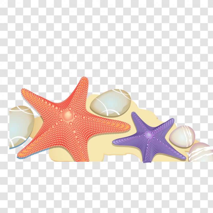 Starfish Euclidean Vector Sand Beach Transparent PNG