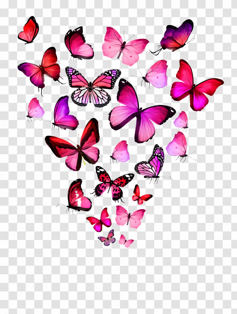 Pink Butterfly Heart Petal Moths And Butterflies - Herbaceous Plant Pollinator Transparent PNG