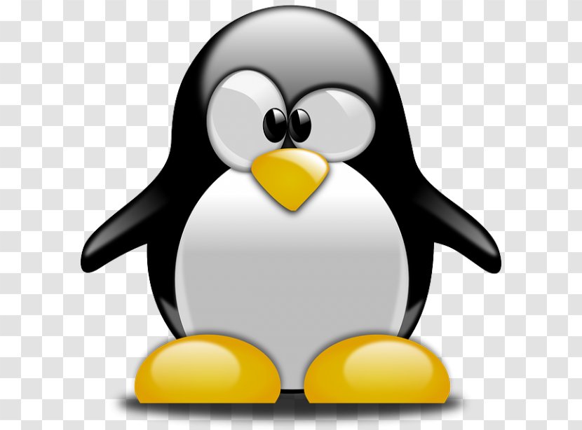 Baby Penguins Bird Drawing - Penguin Transparent PNG