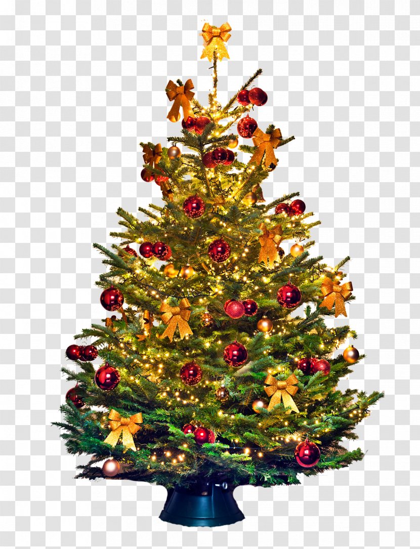 Christmas Tree Ornament Fraser Fir Bombka Transparent PNG